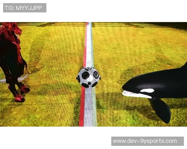 水上足球精彩瞬间集锦视频带你领略水上运动的魅力与激情 水上足球精彩瞬间集锦视频带你领略水上运动的魅力与激情